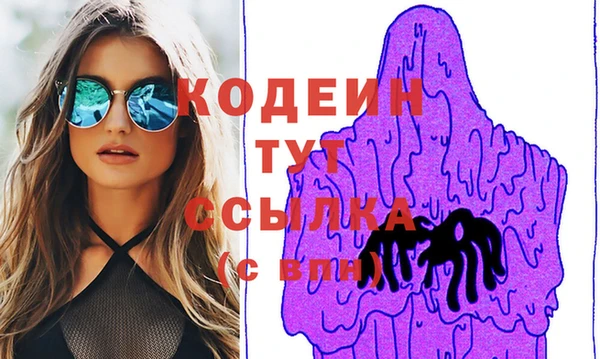 шишки Жердевка
