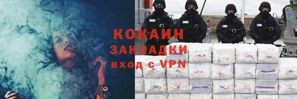 шишки Жердевка