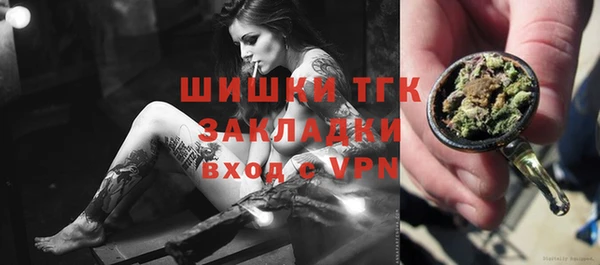 шишки Жердевка