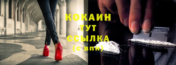 шишки Сатка