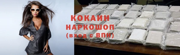 шишки Жердевка
