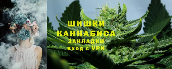 шишки Жердевка