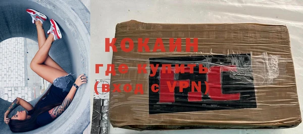 шишки Жердевка
