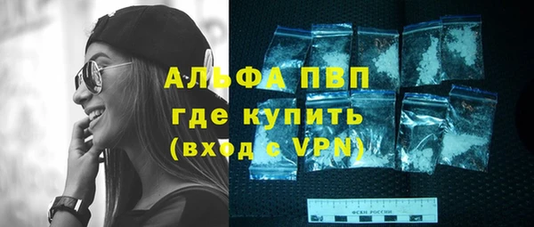 шишки Жердевка